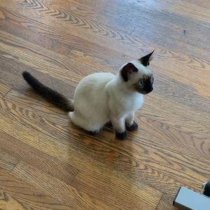 Meet your Posher, Xavier